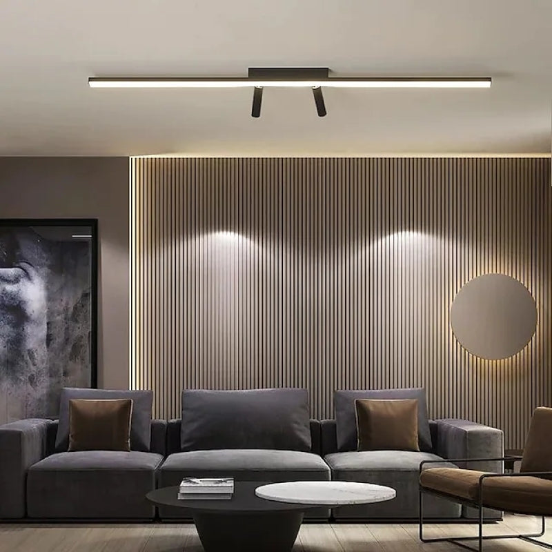 Dual Head Ceiling Spotlight With Adjustable Beams