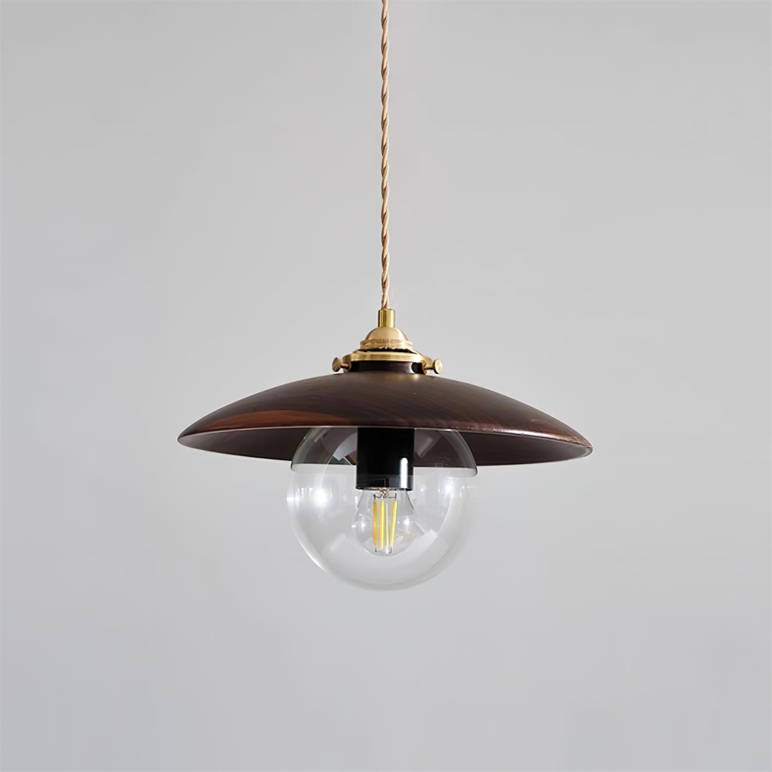 Industrial Pendant Light With Glass Globe And Metal Disc Shade