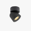 AuroraEdge Modern LED Flush Mount Ceiling Light Black White