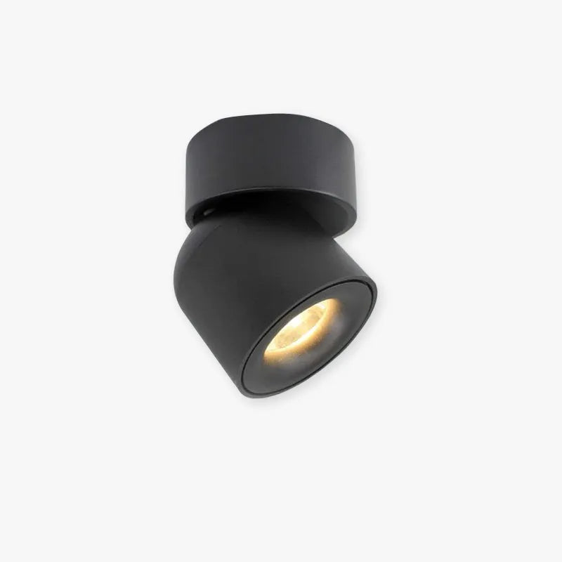 AuroraEdge Modern LED Flush Mount Ceiling Light Black White