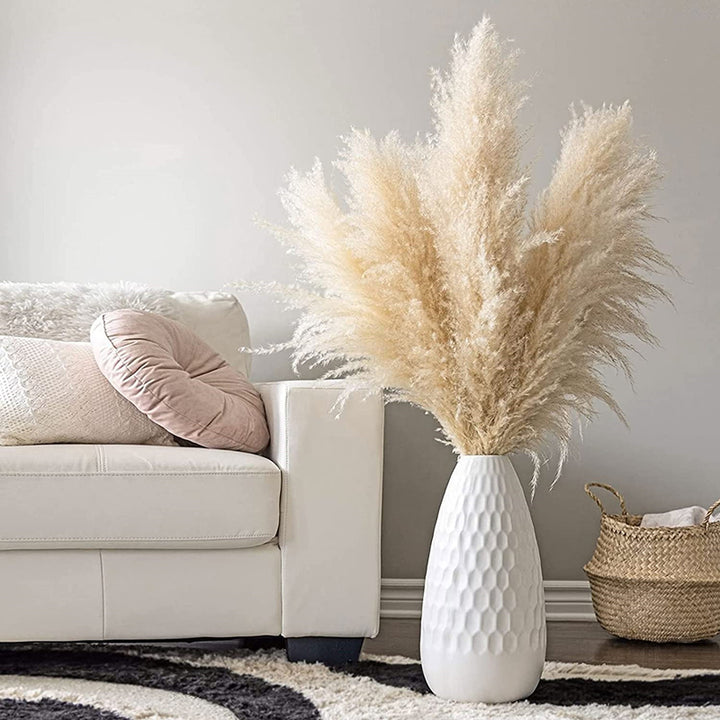 Herbe de la Pampa Séchée – Lot de 10 Panaches Naturels