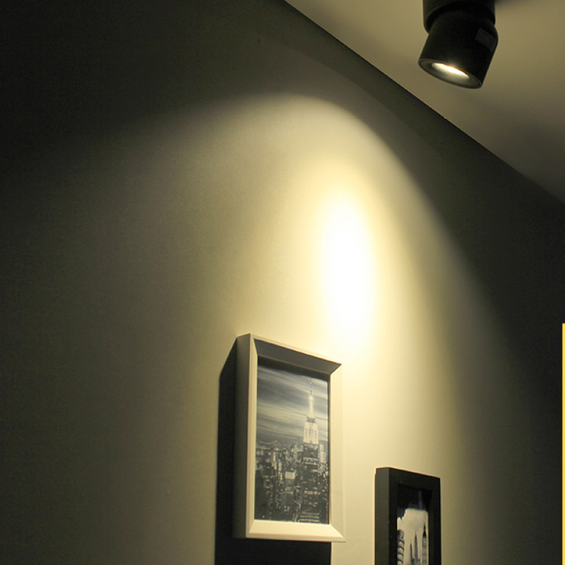 AuroraEdge Modern LED Flush Mount Ceiling Light Black White