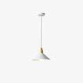 Cap-Shaped Metal Pendant Light With Natural Wood Finish