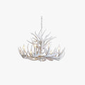Rustic White Antler Chandelier for Dining Room