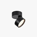 Cylindrical Flush Mount Ceiling Light Black And White For Hallway