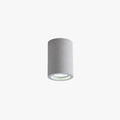 Aurora Cylinder LED Flush Mount Ceiling Light For Living Room