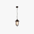 Durable Black Bronze Metal Pendant Light With Warm Glow