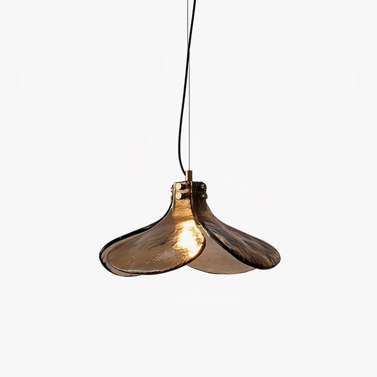Brass Pendant Light With Glass Shade