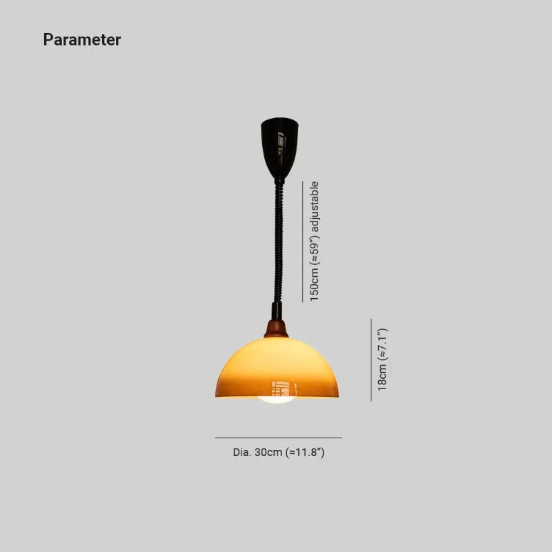 Warm Wood Round Pendant Light With Adjustable Glow