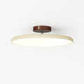 Colourful Adjustable Ceiling Light For Bedroom And Living Rooms