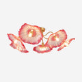 Floral Whisper Glass Ceiling Light With Frosted Leaves